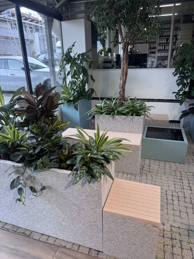FLOREANA Hydrokultur – Einblick 2